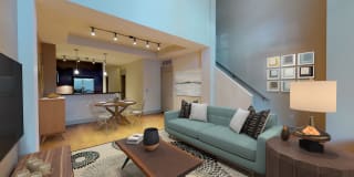 Ashton Bellevue Gallery 13