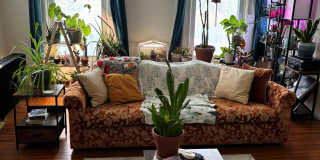 268 Yates St Gallery 1