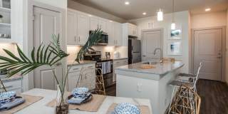 The Mark on Solon Gallery 2