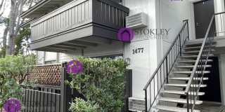 1477 Marchbanks Drive Gallery 28