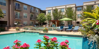 City North Gallery 11