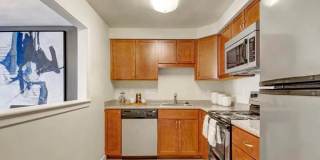 ReNew Waltham Gallery 6