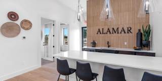 Alamar Gallery 21