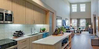 Marlowe Palomar Heights Gallery 3