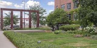 The Lyric at Carleton Place Gallery 4