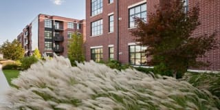 Sheffield at Englewood South Gallery 23