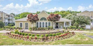 Steeplechase Gallery 1