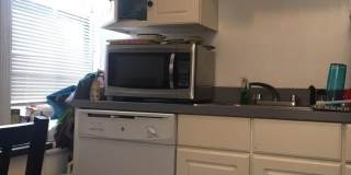 1 bed in Fenway close to Northeastern Gallery 4