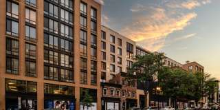 Collection 14 Gallery 24