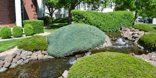 Carriage Crossing Gallery 4