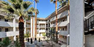 Evoq Apartment Homes Gallery 10