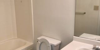 Moses Court Gallery 12