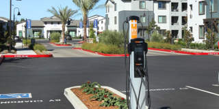 The Strand Gallery 47