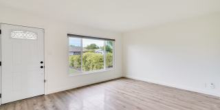 Rare 2 Bed 1 Bath Home with Huge Private Backyard Gallery 4