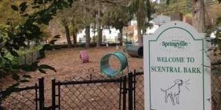 Springville Mill Gallery 9
