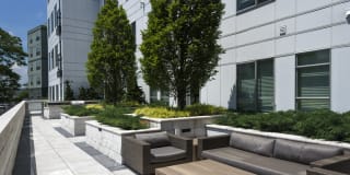 Luxe at Alewife Gallery 7