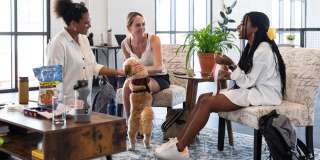 Culdesac Tempe Gallery 38