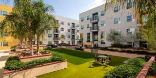 Aston at Gateway Gallery 13