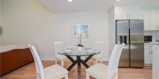 15 Camphor S Gallery 4