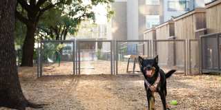 Gallery at Domain Gallery 24