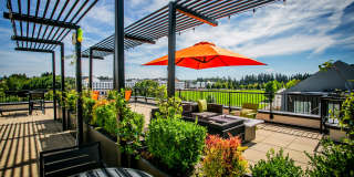 The Arbory Gallery 2