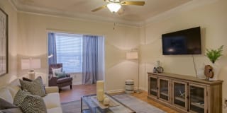 The Estates at Perimeter Gallery 25