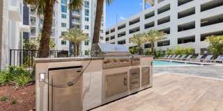 Tortoise One Gallery 37