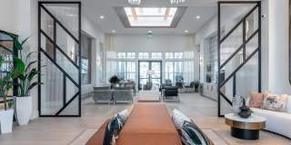 Alta Citron Gallery 3