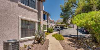 6441 N Tierra De Las Catalinas Gallery 5