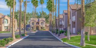 Morrison in Mesa Gallery 24