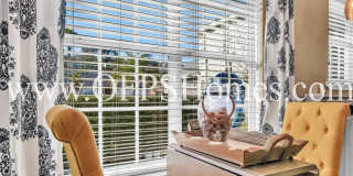 MOVE IN SPECIAL! Half off First Month's Rent! Gallery 14