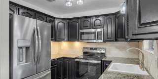1803 Bluebonnet Gallery 12