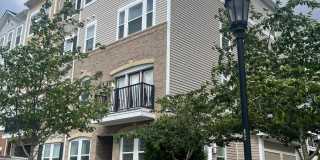 24558 ROSEBAY Terrace Gallery 1