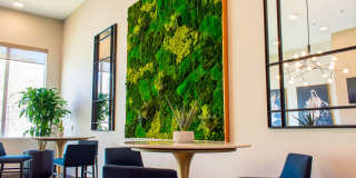 Lakeview Lakeview Gallery 3