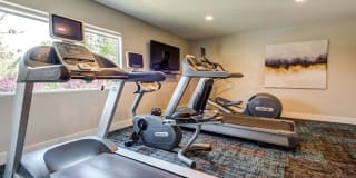 Sofi Thousand Oaks Gallery 13