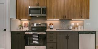 Olympus Latitude Gallery 12