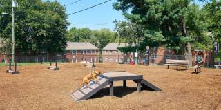 Rodgers Forge Gallery 15