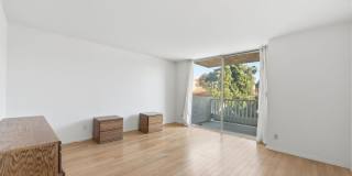 28370 Rey De Copas Ln Gallery 13