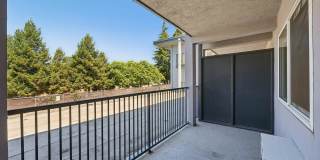 Spring Ridge on Fletcher Apartments Gallery 36