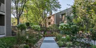 Woodview Gallery 42