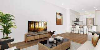 Vineyards Gallery 151