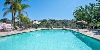 Delightful 2 Bedroom 2 Bath Condo in UTC Gallery 18