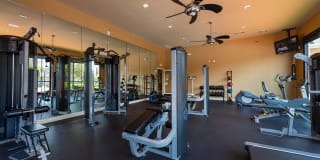 The Terraces at Fall Creek Gallery 17