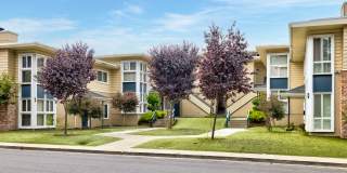 Westlake Apartments Gallery 10