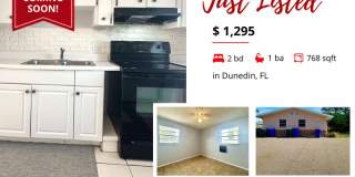 972 San Christopher Drive - 972 972 San Christopher Drive - 972 Gallery 1