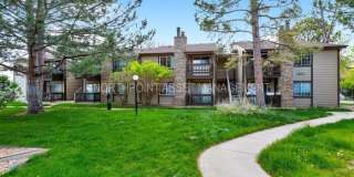 1871 South Pitkin Circle Gallery 1