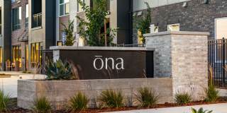 Ona Gallery 62