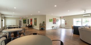 Lake of the Woods Gallery 42