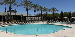 Beautiful  2Bd 2 Ba in Luxury Community Gallery 19