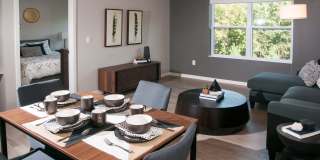 Viridian Central Gallery 24